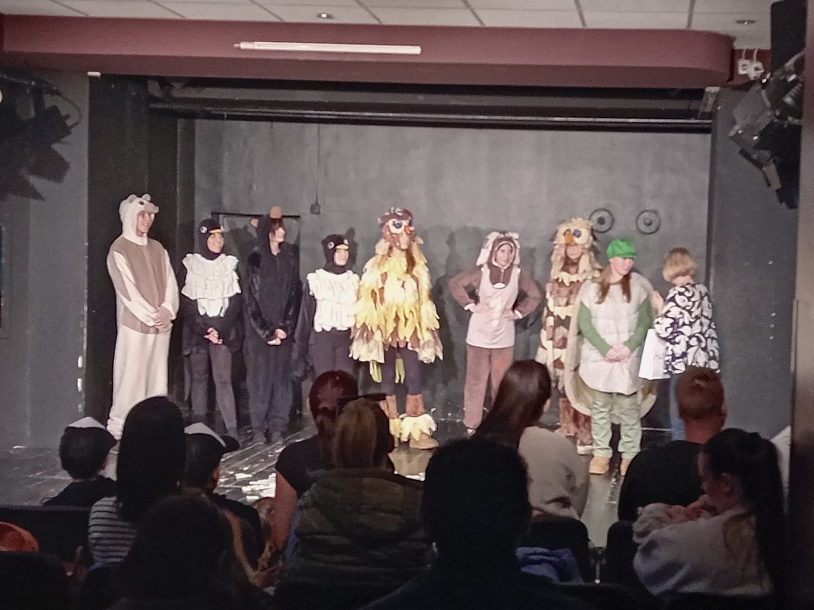 BOKfest za djecu i mlade, prestava Velika šumska utrka